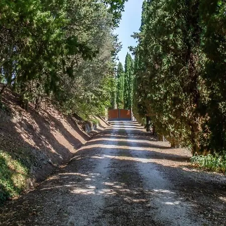 Toscana Il Pollaiolo *